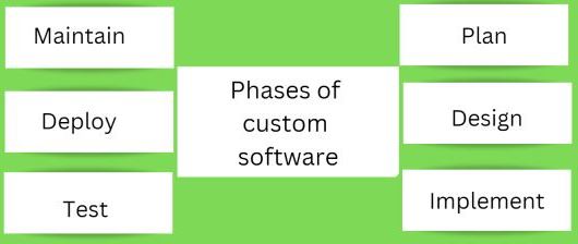 Custom Software: Is It Really Worth It?  