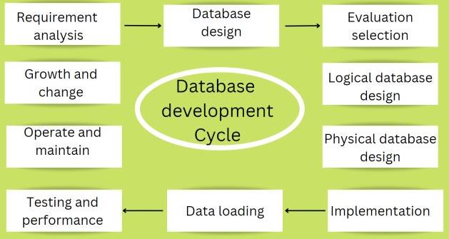 What are the Facts about Database Development you Never Knew About  