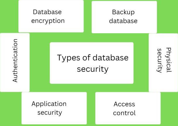 Database Development: Do You Really Need It? This Will Help You Decide