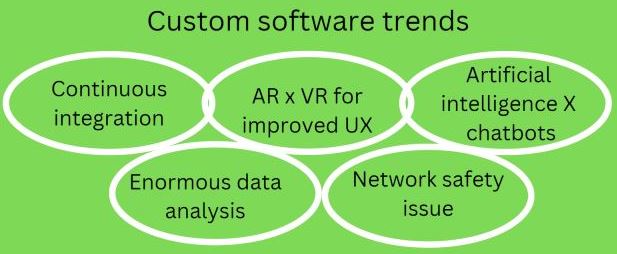 How to Pick the Right Custom Software Development for your business  