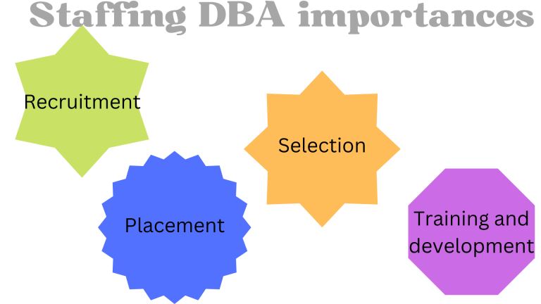 Reasons Why Companies Use Staffing DBA Services  