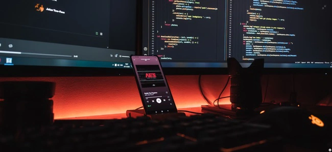 .NET Framework: .Net Programming