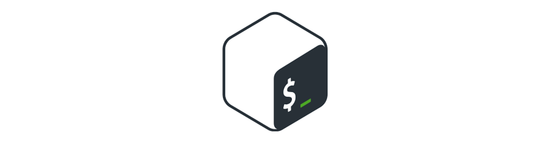 Bash Scripting