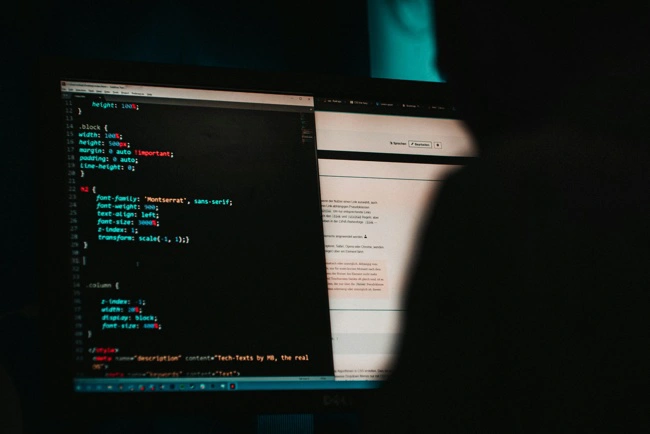 Software & Hardware Security Audit