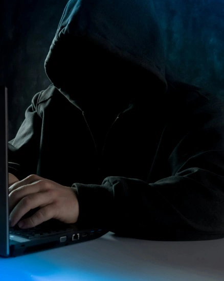Software & Hardware Security Audit