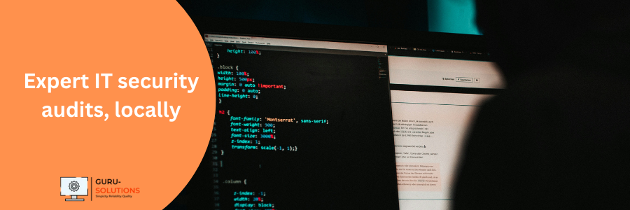 Software & Hardware Security Audit