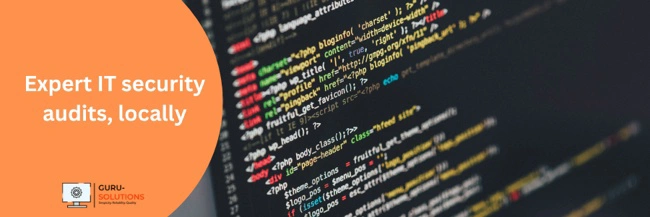Software & Hardware Security Audit