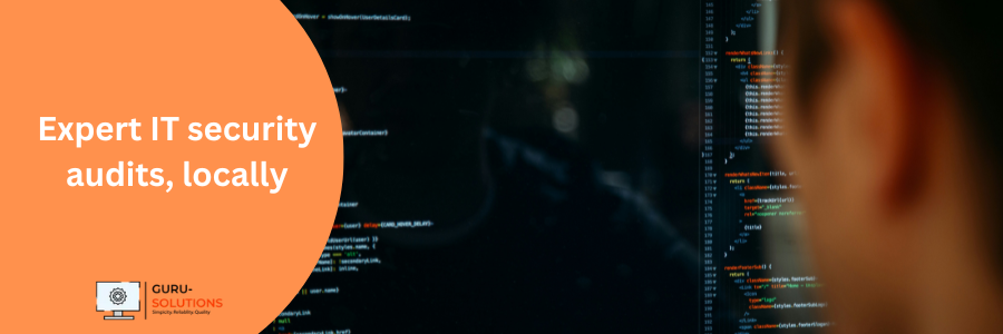 Software & Hardware Security Audit