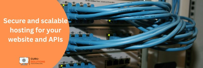 Hosting Website & API