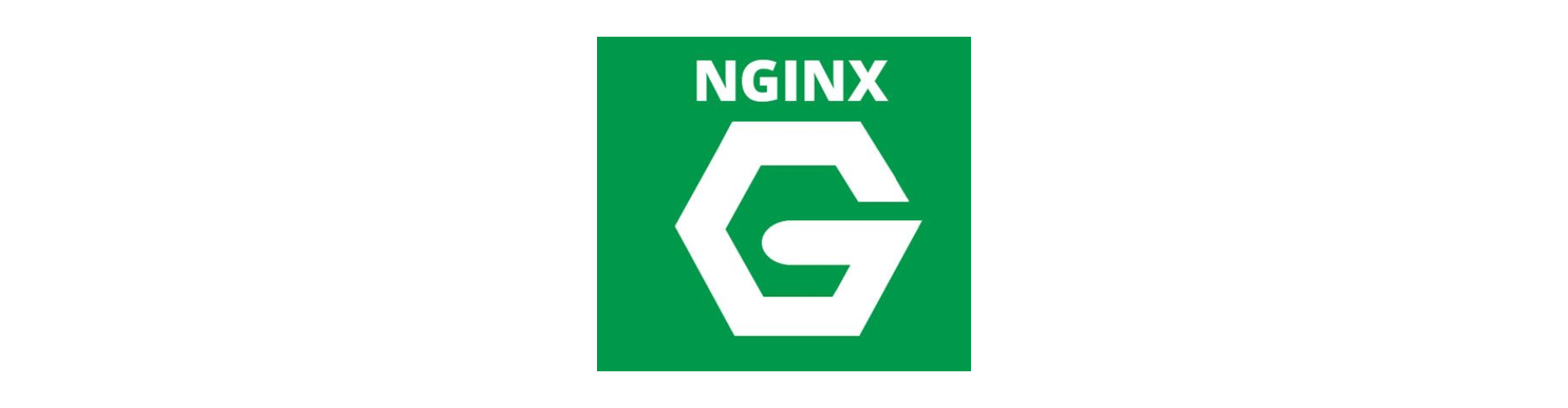Nginx Web Server