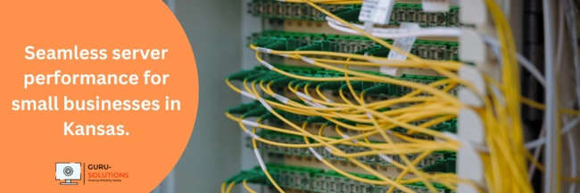 seamless server performance for small businesses in Kansas.