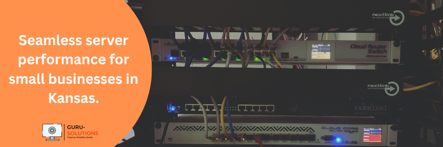 Small Business Server Setup & Maintenance