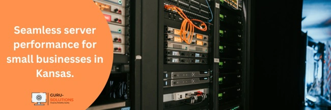 Small Business Server Setup & Maintenance