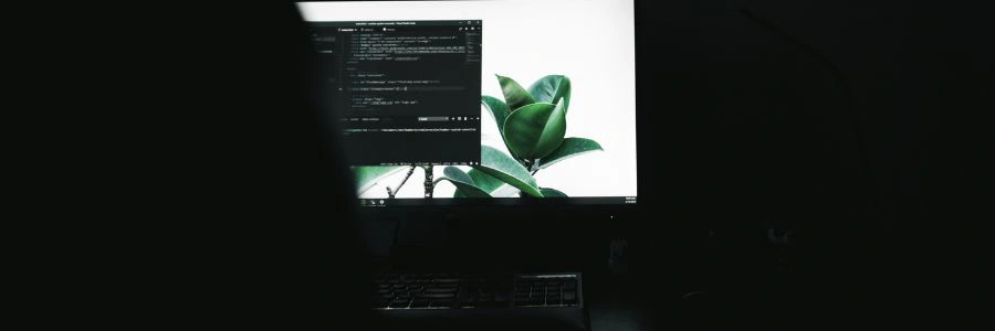 Service Image