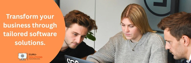 Development of Business Application
