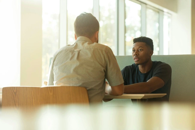 Information Technology Consultation (IVV)
