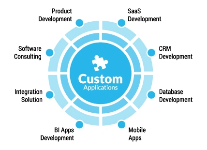 Examples of Custom Software