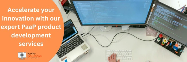 PaaP Product Development