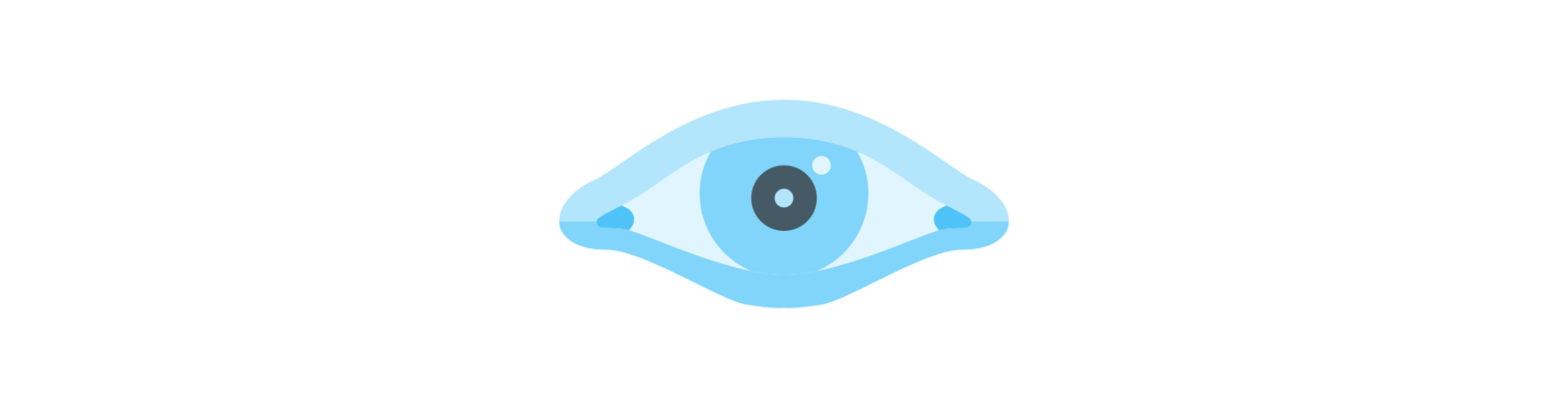 Nmap (Network Mapper)